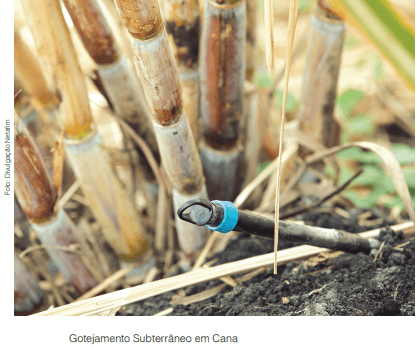 Irrigação subterrânea: eficiência, economia e resultado garantido